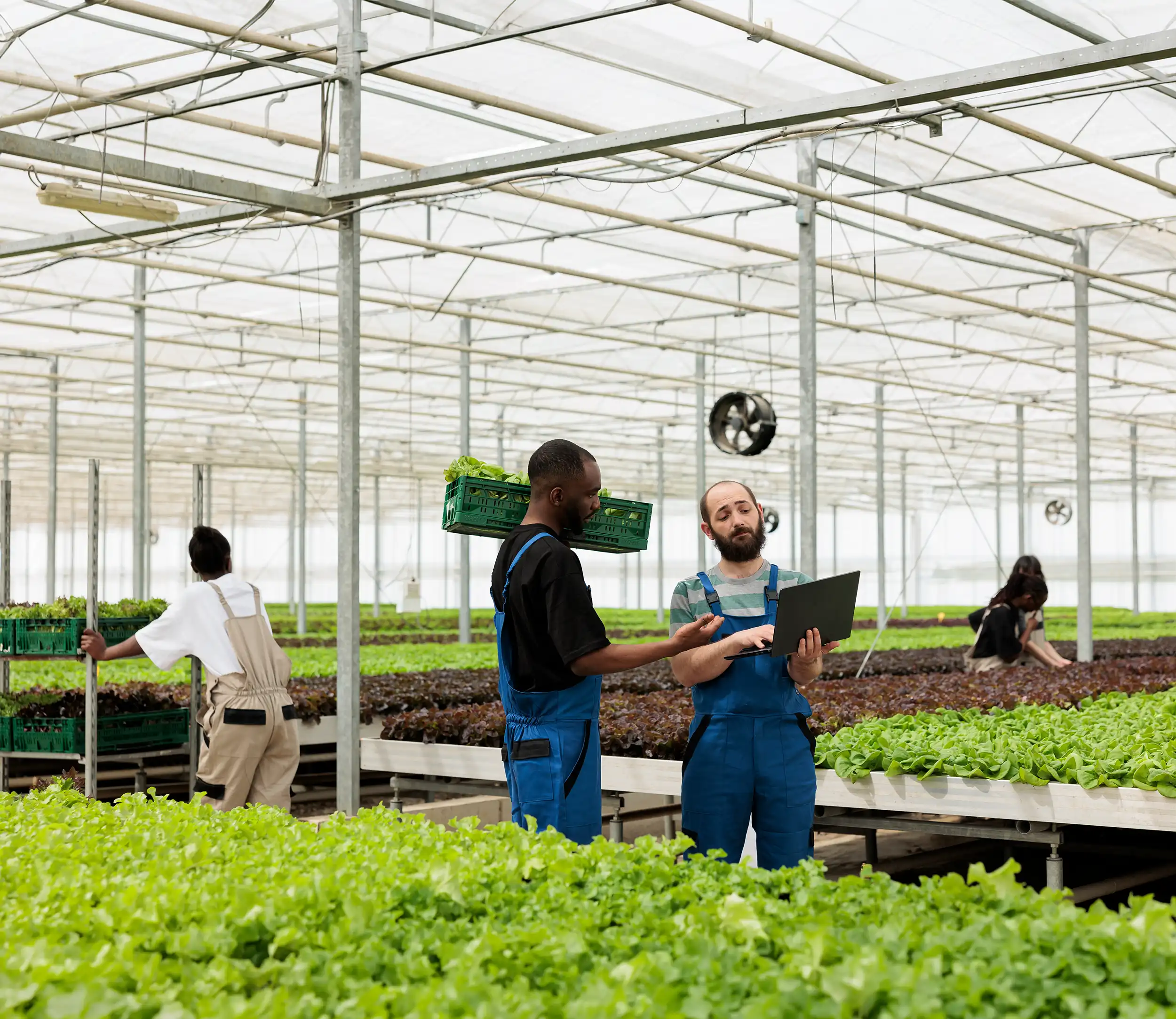 Manufacturing IT Built Around How Plants Operate x - Manufacturing